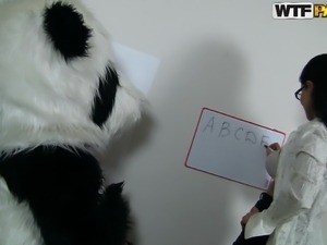 panda bear likes his teacher