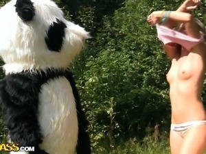 panda and his chick in the wilderness