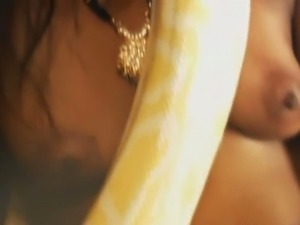Indian babe dances with the snake