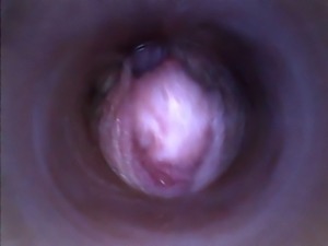 Kira - Kinky selfie (endoscope pussy cam)