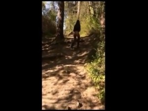 une promenade coquine dans les bois