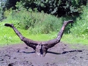 Diving in Mud Pit Naked
