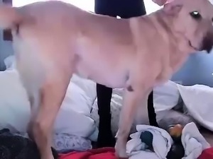 Cute amateur webcam teen girl toying pussy on webcam